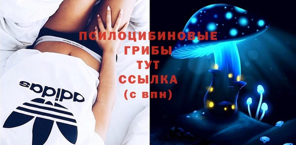 спайс Михайлов