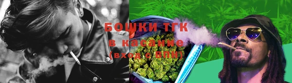 спайс Михайлов