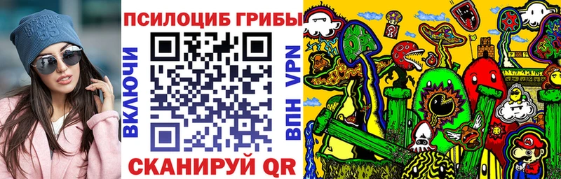 Псилоцибиновые грибы Psilocybe  закладка  Сызрань 